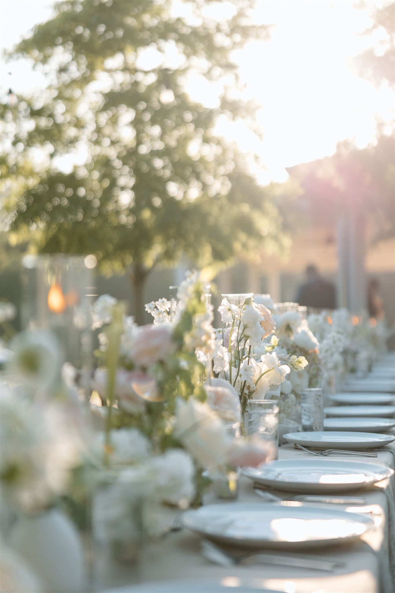 Dreamy tablescape sits ready for guests to enjoy at High Hill Resort wedding.